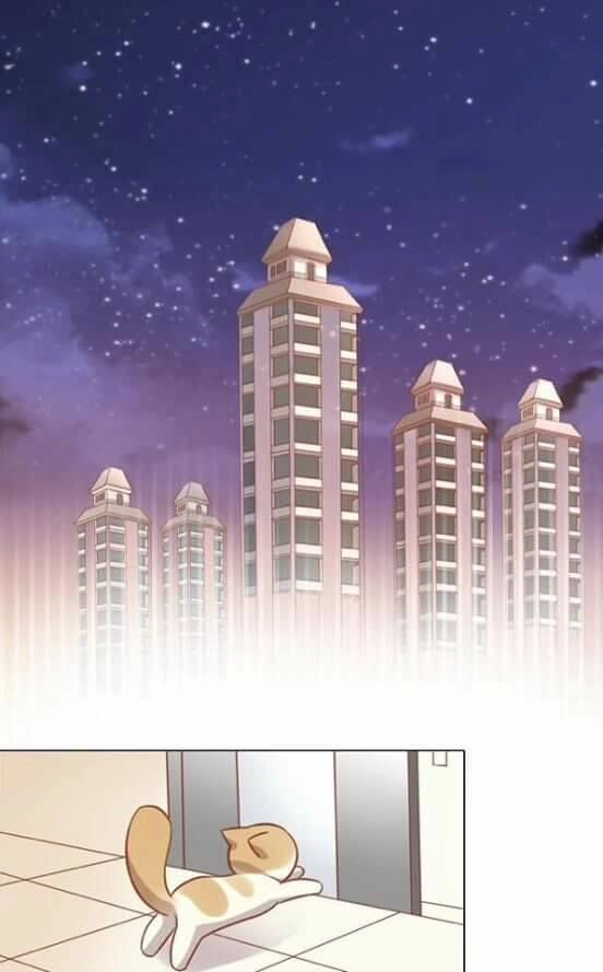 Dưới Móng Vuốt Mèo Chapter 8 - 48