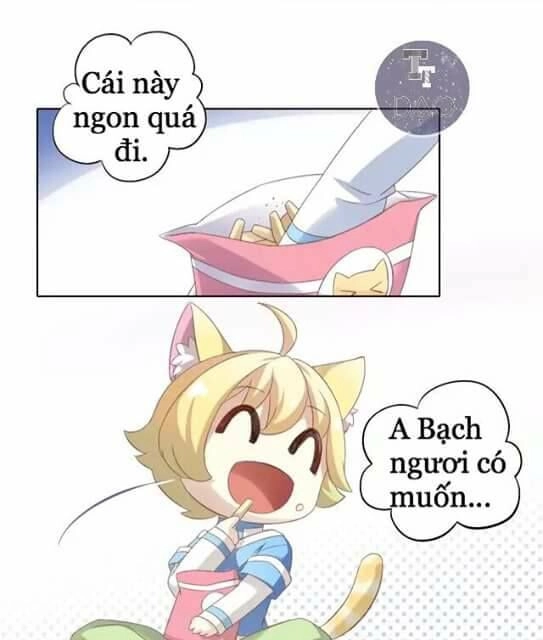 Dưới Móng Vuốt Mèo Chapter 9 - 26