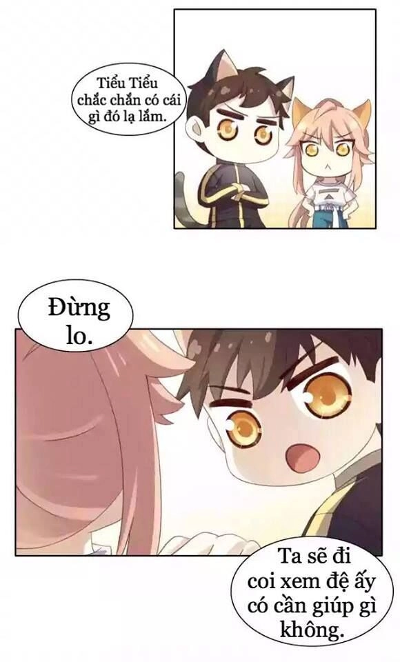 Dưới Móng Vuốt Mèo Chapter 11 - 2