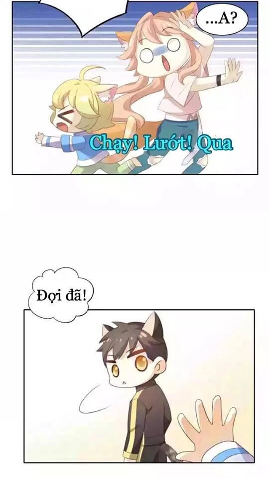 Dưới Móng Vuốt Mèo Chapter 11 - 41