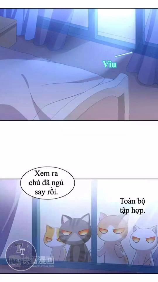 Dưới Móng Vuốt Mèo Chapter 13 - 3