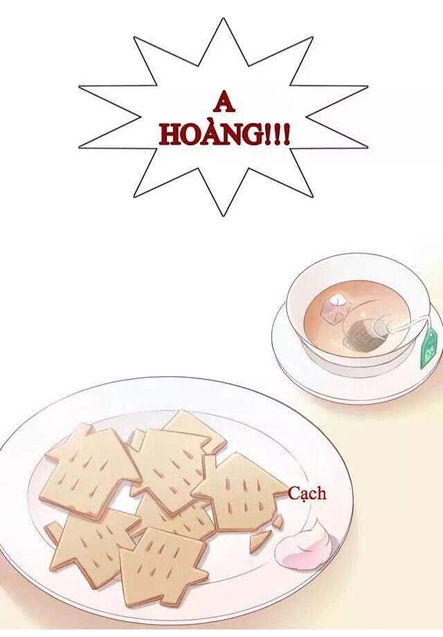 Dưới Móng Vuốt Mèo Chapter 13 - 39