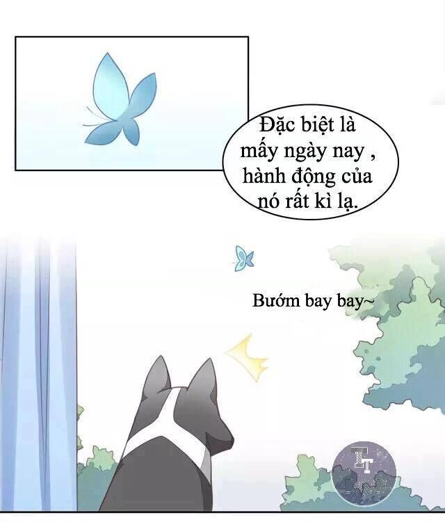 Dưới Móng Vuốt Mèo Chapter 17 - 6