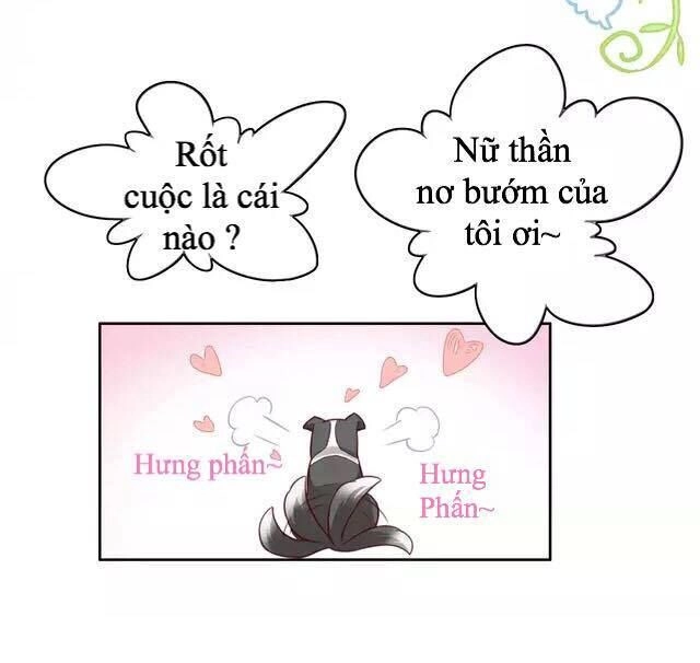 Dưới Móng Vuốt Mèo Chapter 17 - 16