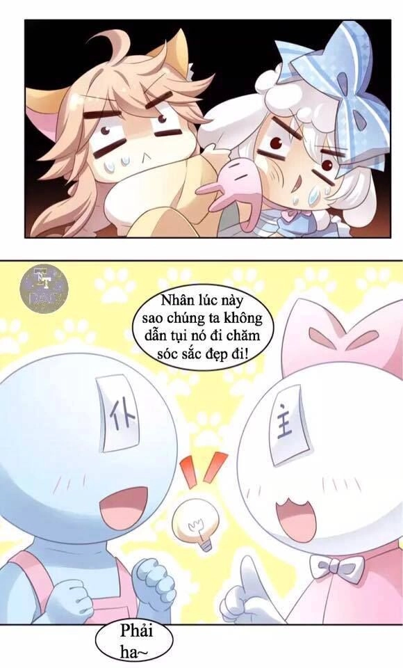 Dưới Móng Vuốt Mèo Chapter 17 - 22