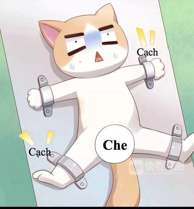 Dưới Móng Vuốt Mèo Chapter 17 - 42