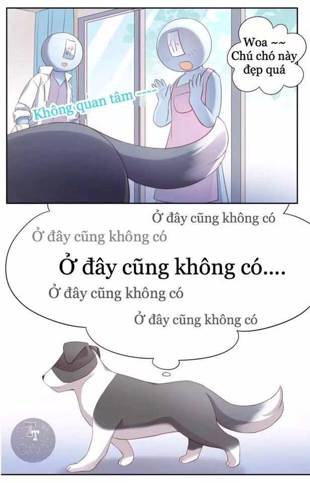 Dưới Móng Vuốt Mèo Chapter 17 - 61
