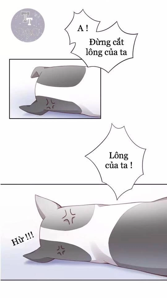 Dưới Móng Vuốt Mèo Chapter 17 - 63