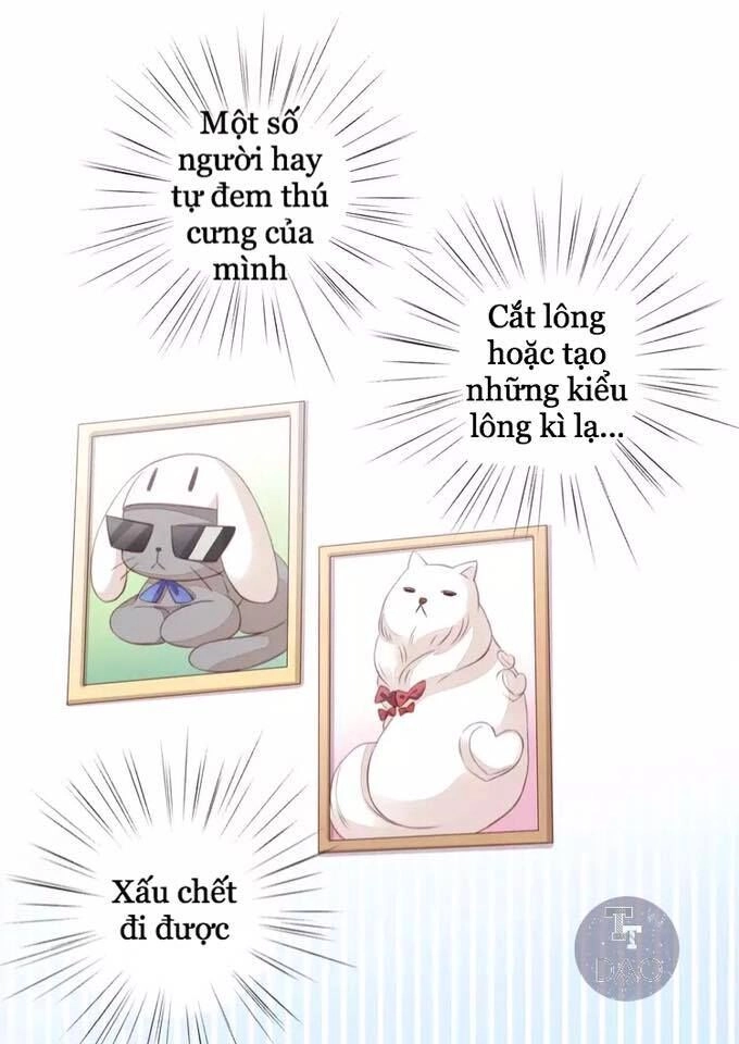 Dưới Móng Vuốt Mèo Chapter 17 - 65