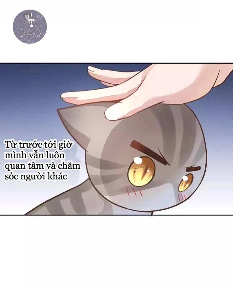 Dưới Móng Vuốt Mèo Chapter 19 - 41