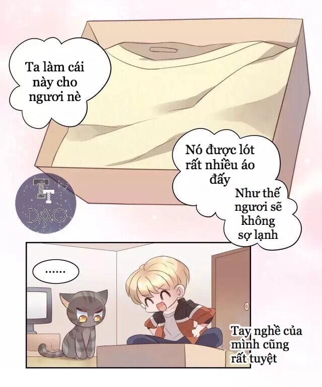 Dưới Móng Vuốt Mèo Chapter 20 - 12