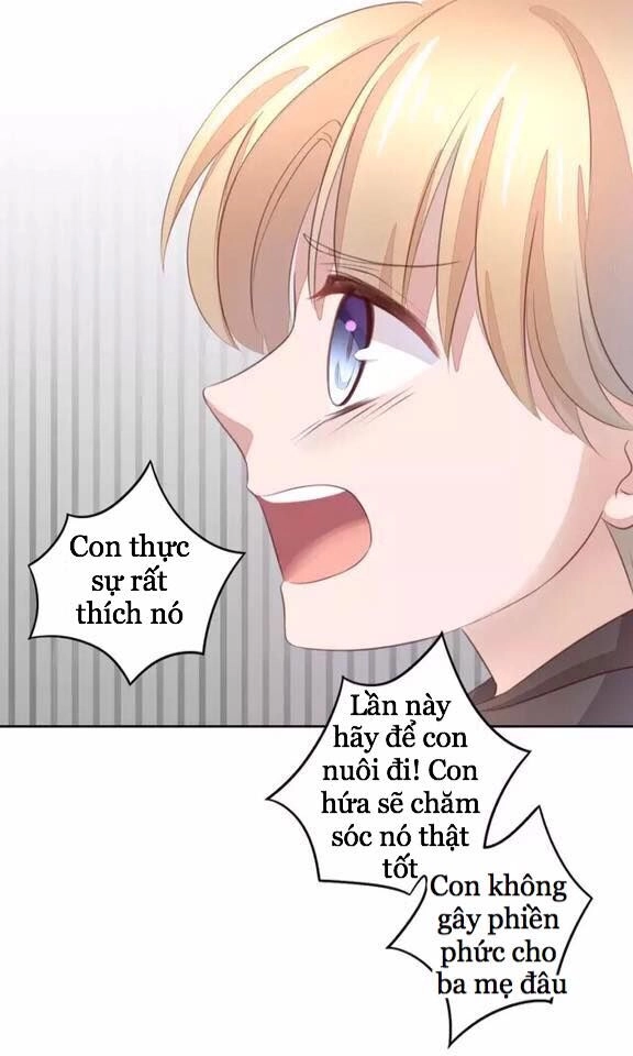 Dưới Móng Vuốt Mèo Chapter 20 - 25