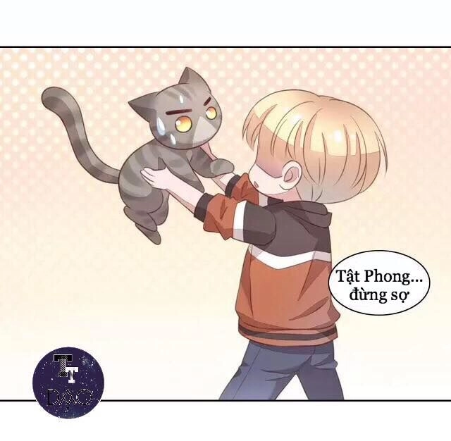 Dưới Móng Vuốt Mèo Chapter 20 - 28