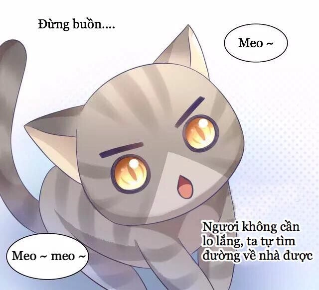 Dưới Móng Vuốt Mèo Chapter 20 - 33