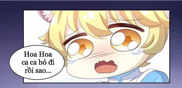 Dưới Móng Vuốt Mèo Chapter 20 - 40