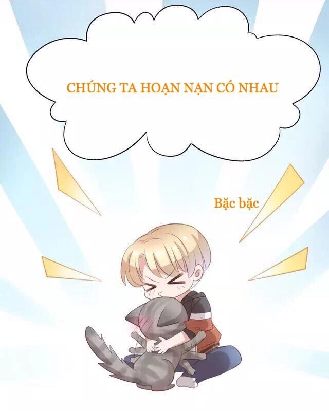 Dưới Móng Vuốt Mèo Chapter 20 - 48