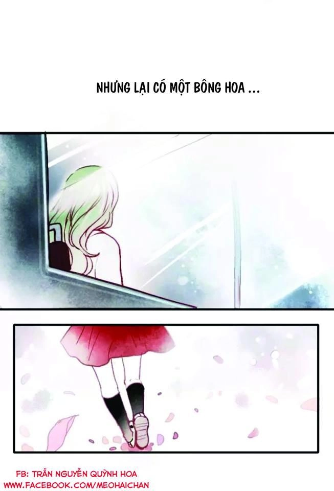 Hướng Tới Ánh Mặt Trời Chapter 1 - 2