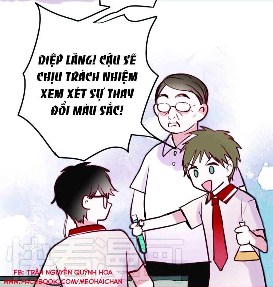 Hướng Tới Ánh Mặt Trời Chapter 10 - 15