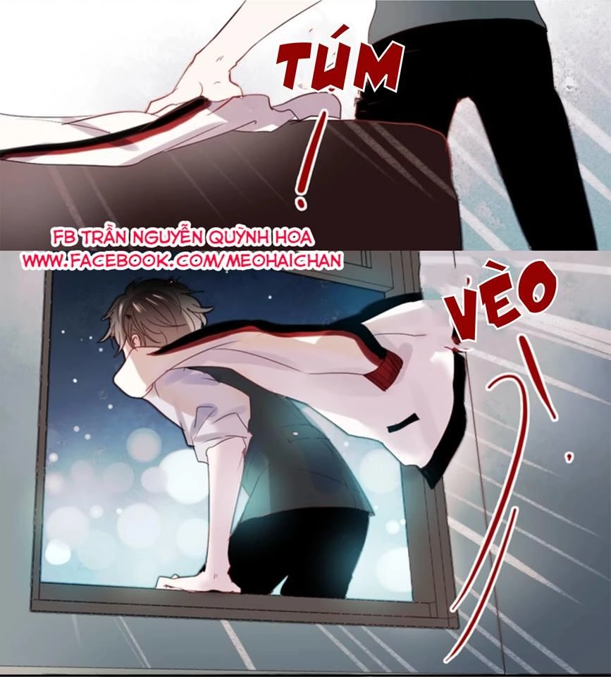 Hướng Tới Ánh Mặt Trời Chapter 24 - 16