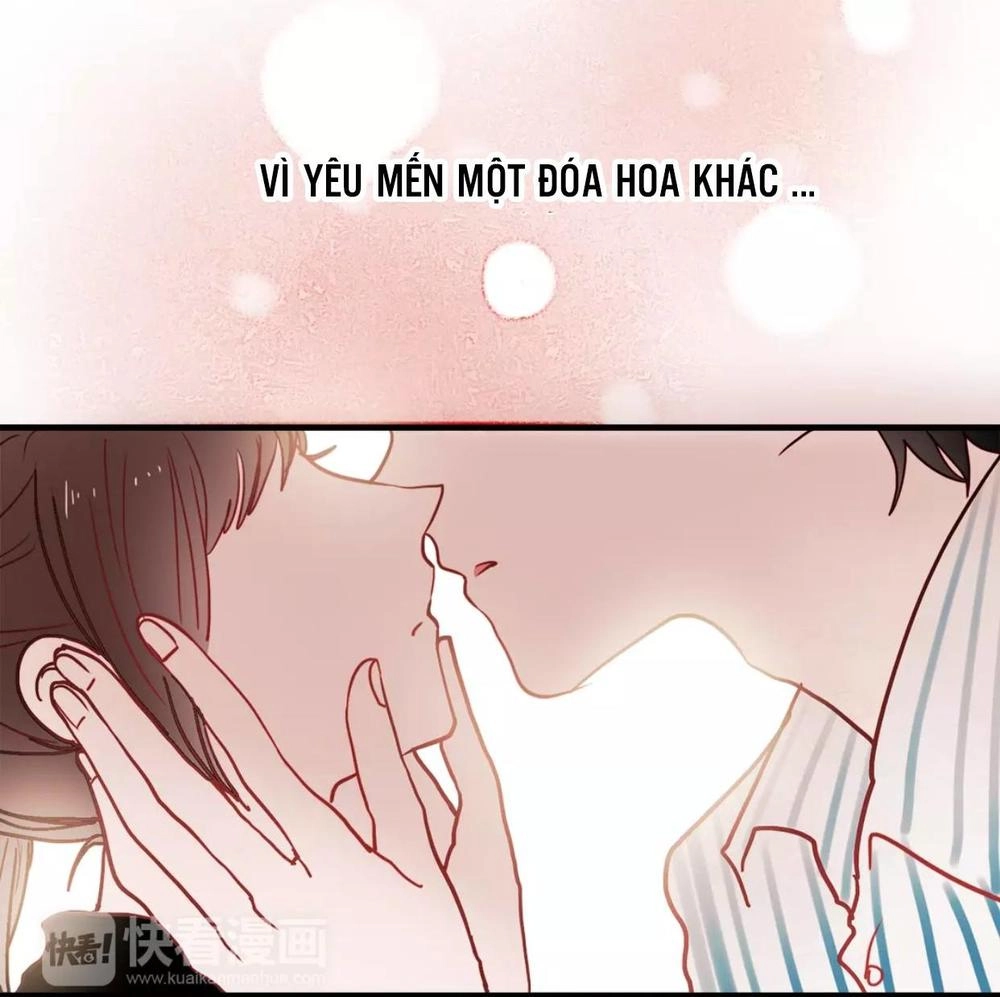 Hướng Tới Ánh Mặt Trời Chapter 55 - 31