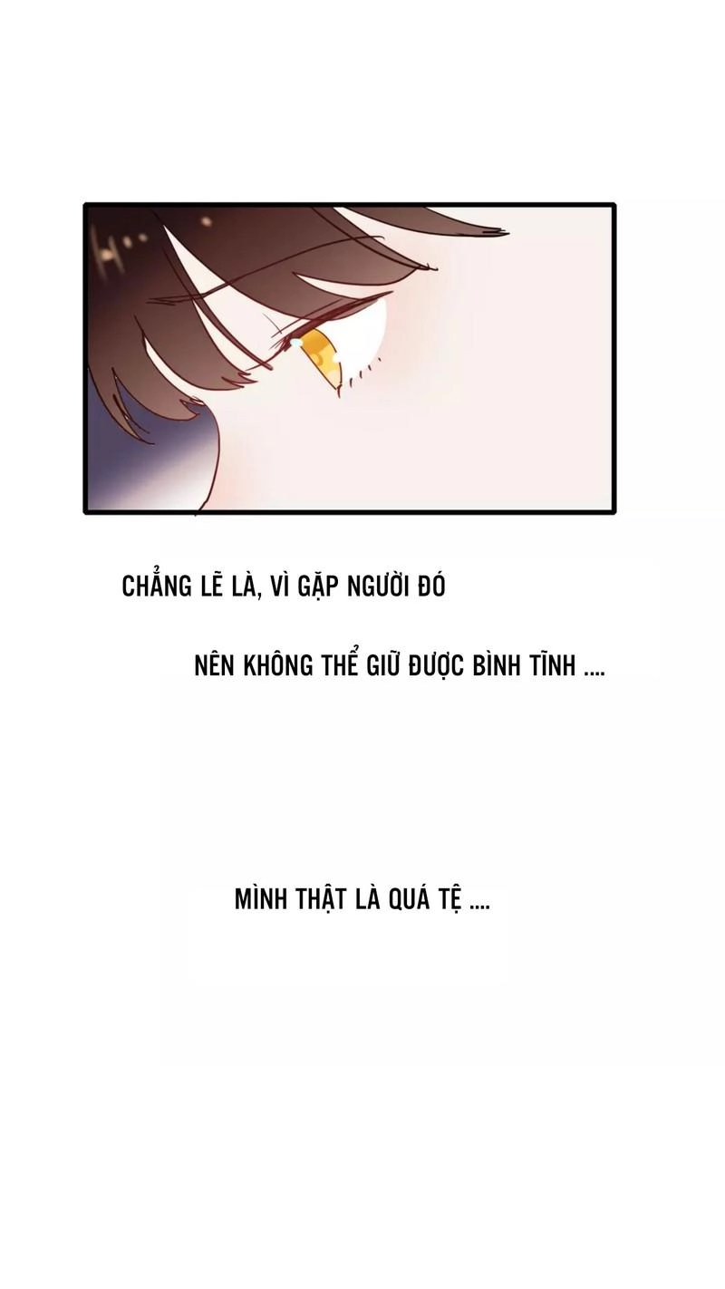 Hướng Tới Ánh Mặt Trời Chapter 64 - 3