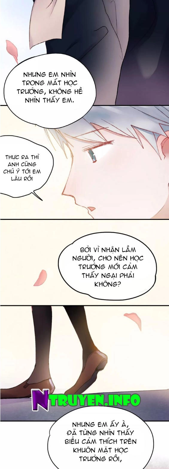 Hướng Tới Ánh Mặt Trời Chapter 71 - 12