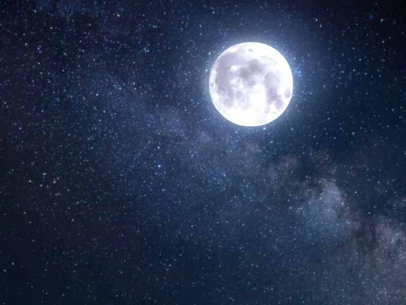 Tôi Là Thợ Săn Có Kĩ Năng Tự Sát Cấp Sss Chapter 71 - 133