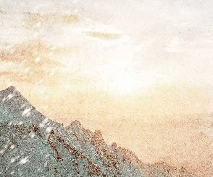 Tôi Là Thợ Săn Có Kĩ Năng Tự Sát Cấp Sss Chapter 74 - 132