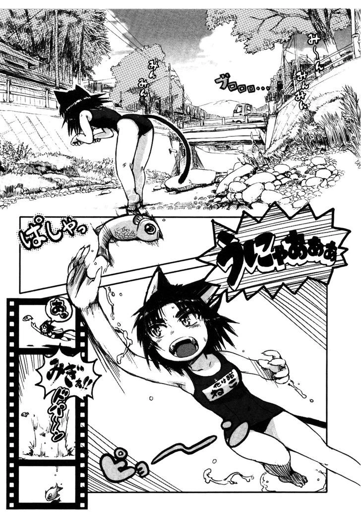 Neko Musume Michikusa Nikki Chapter 5.5 - 3