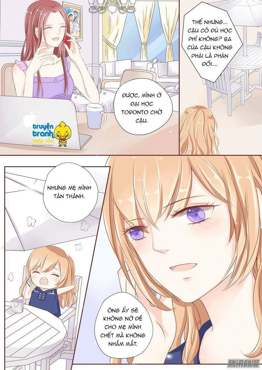 Tiểu Thời Quang Của Toronto Chapter 1 - 7