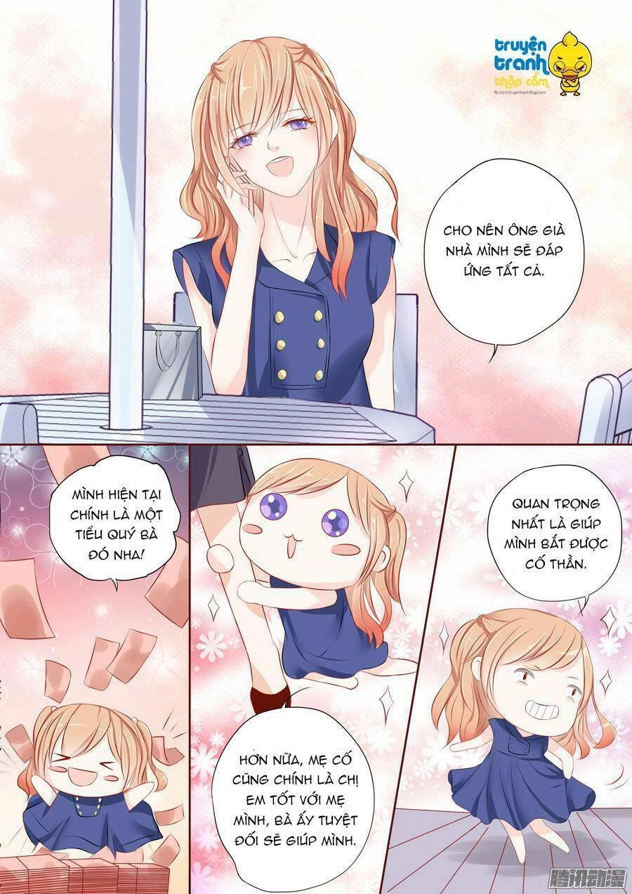 Tiểu Thời Quang Của Toronto Chapter 1 - 8