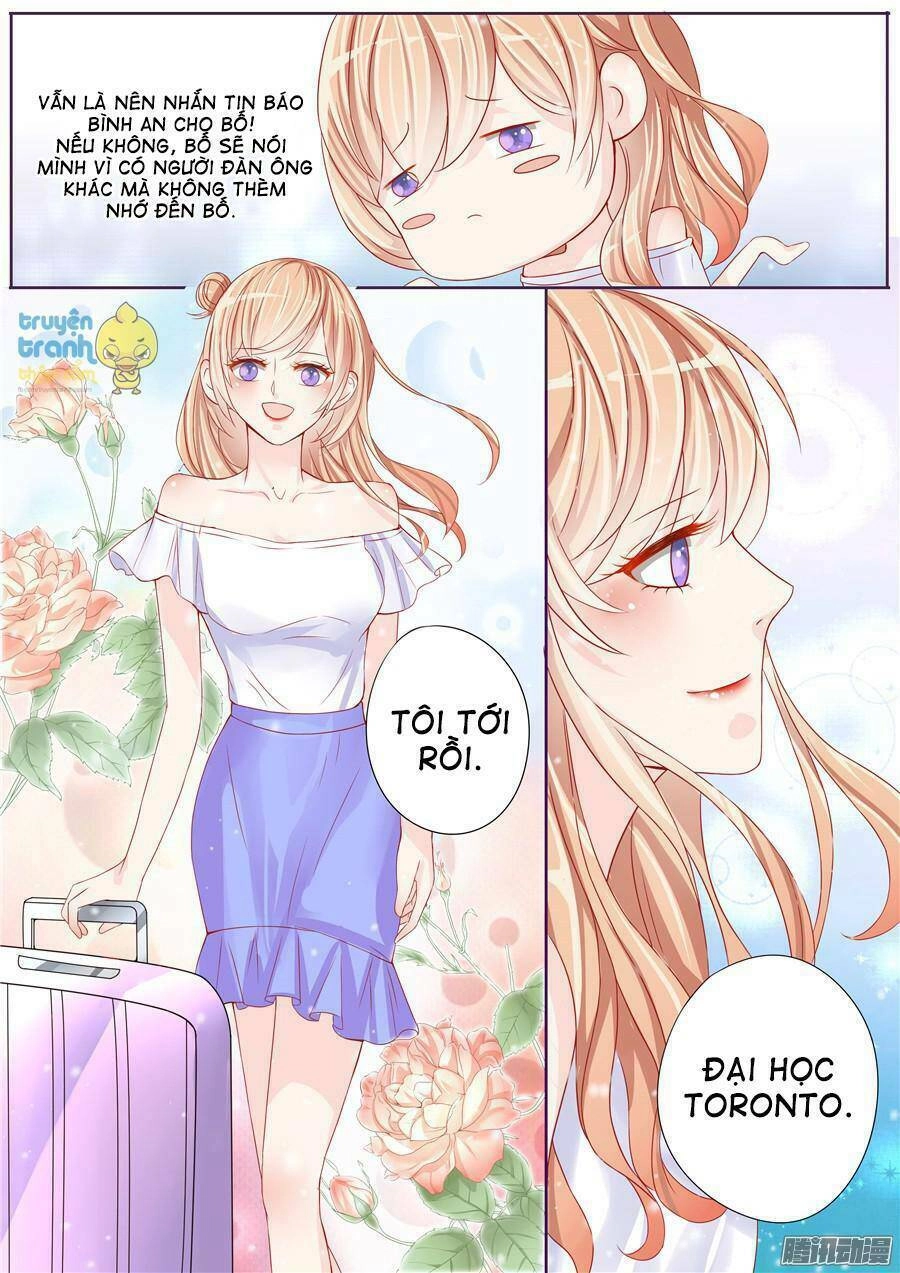 Tiểu Thời Quang Của Toronto Chapter 3 - 3