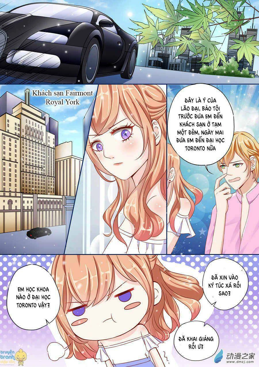 Tiểu Thời Quang Của Toronto Chapter 5 - 9