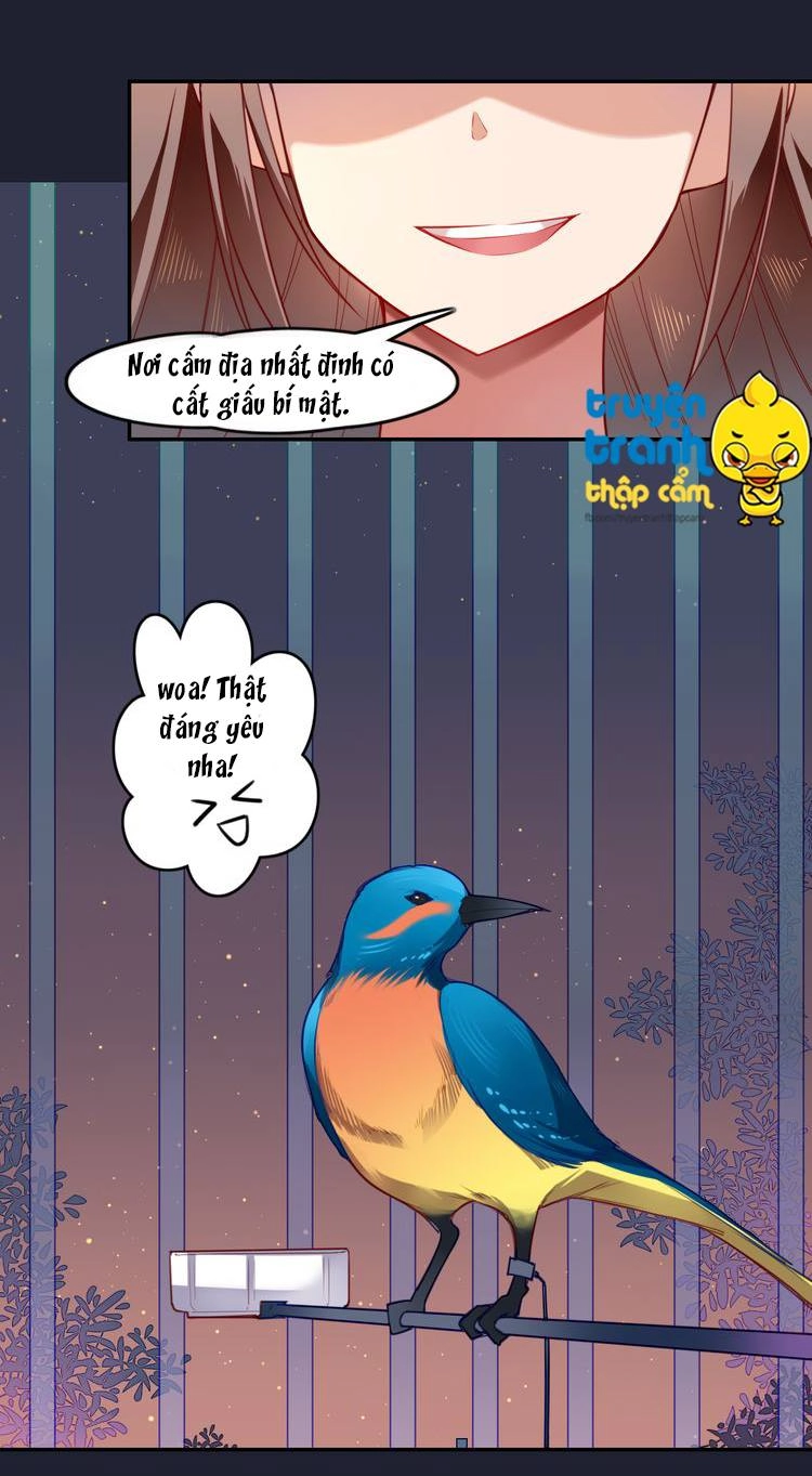 Cẩm Lý Quy Chapter 1 - 37