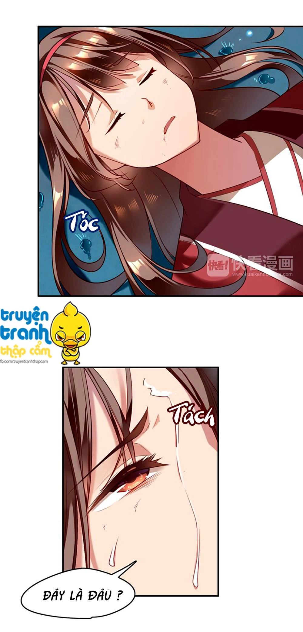 Cẩm Lý Quy Chapter 2 - 18