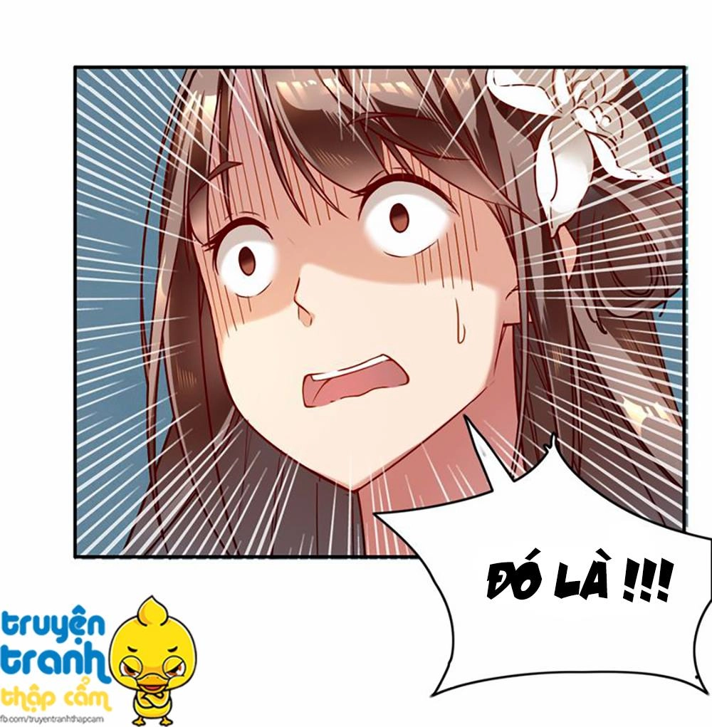 Cẩm Lý Quy Chapter 2 - 22