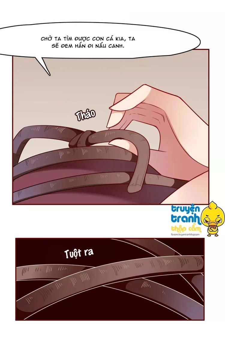 Cẩm Lý Quy Chapter 5 - 15