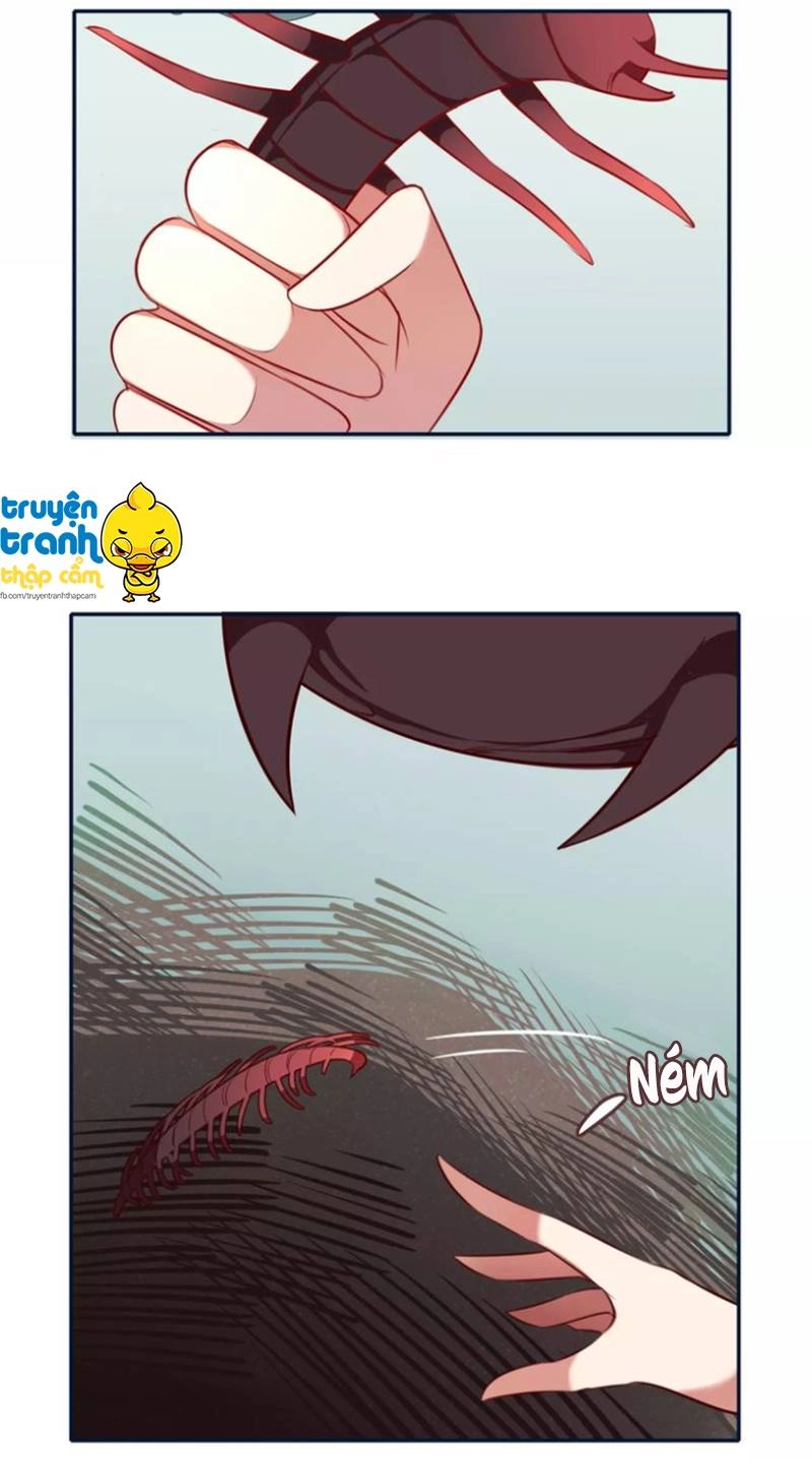 Cẩm Lý Quy Chapter 9 - 22