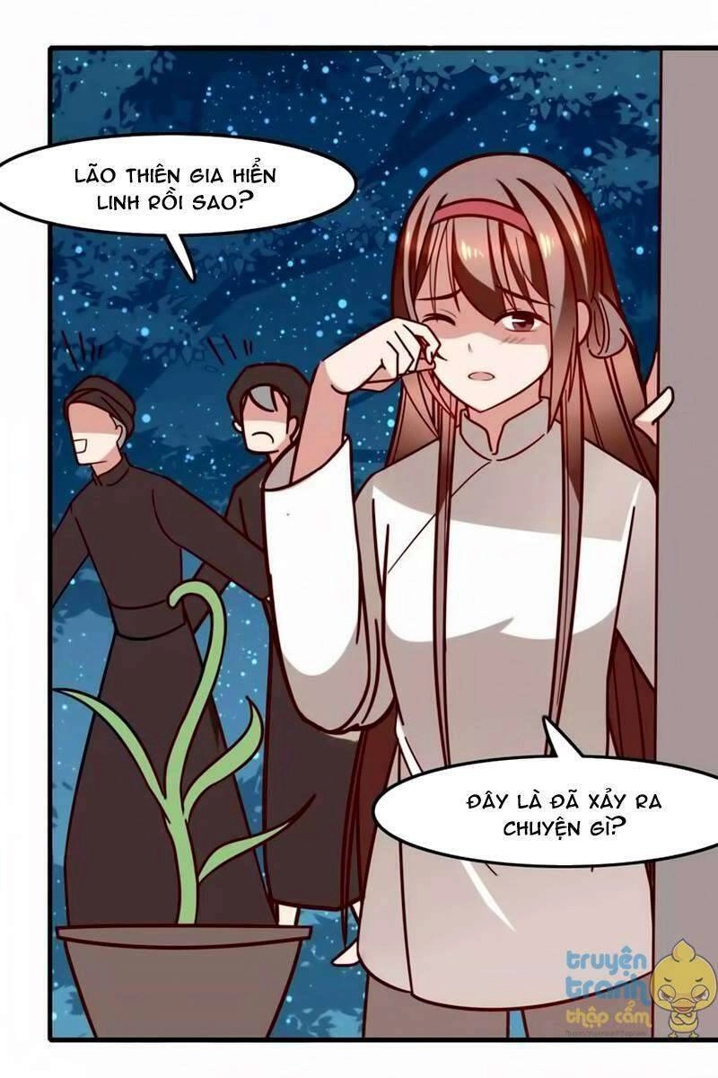 Cẩm Lý Quy Chapter 20 - 5