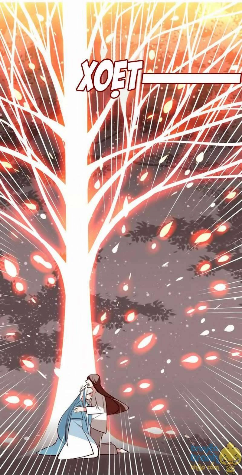 Cẩm Lý Quy Chapter 20 - 19