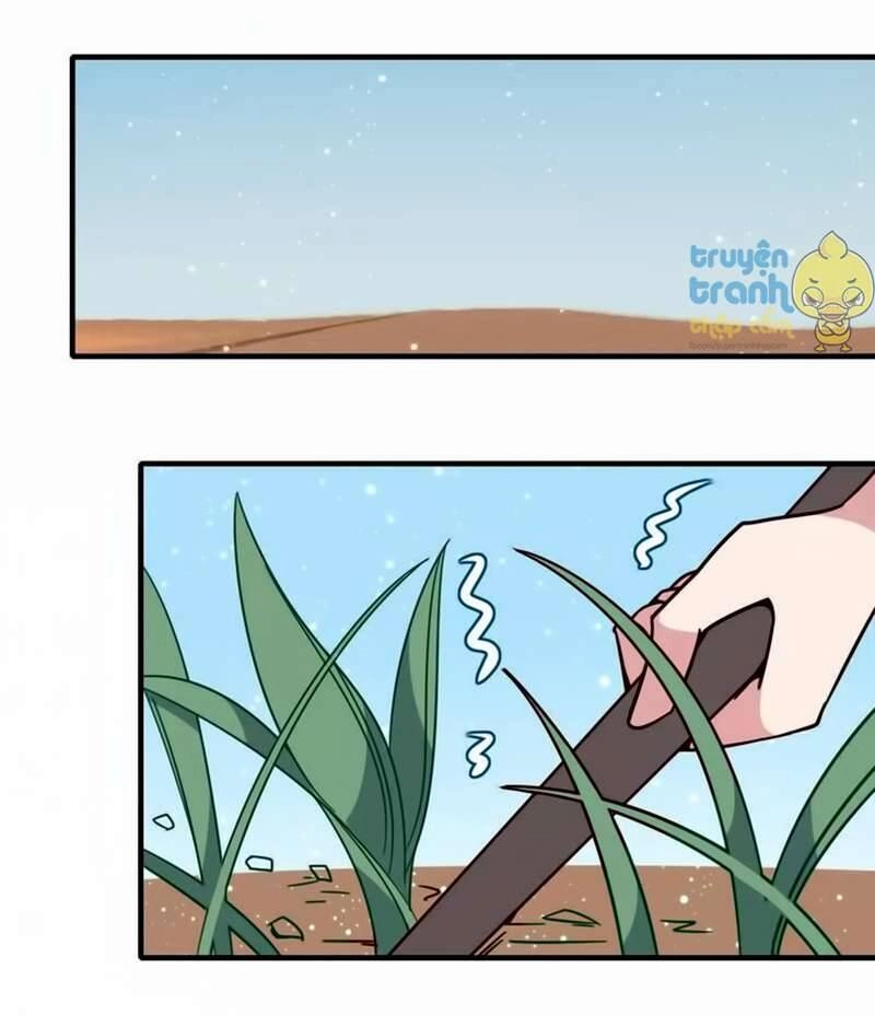 Cẩm Lý Quy Chapter 21 - 6