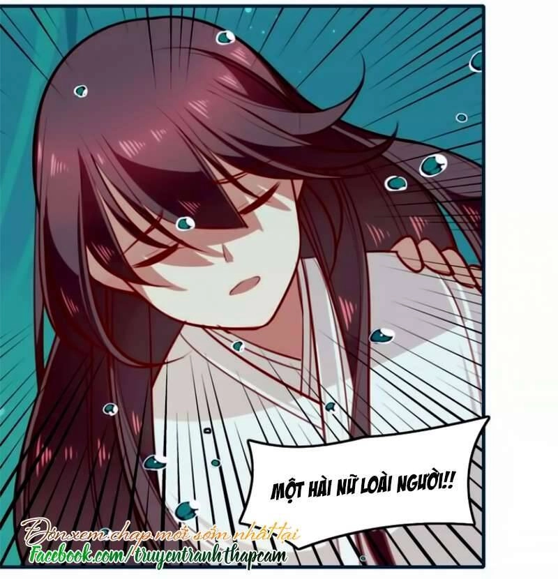 Cẩm Lý Quy Chapter 25 - 31