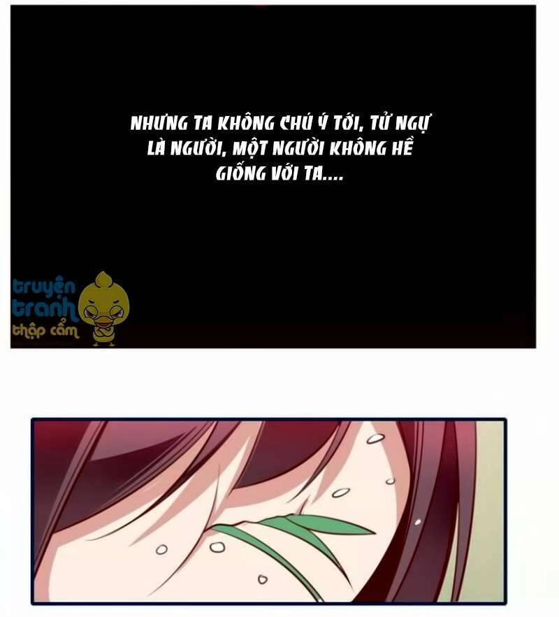 Cẩm Lý Quy Chapter 26 - 17