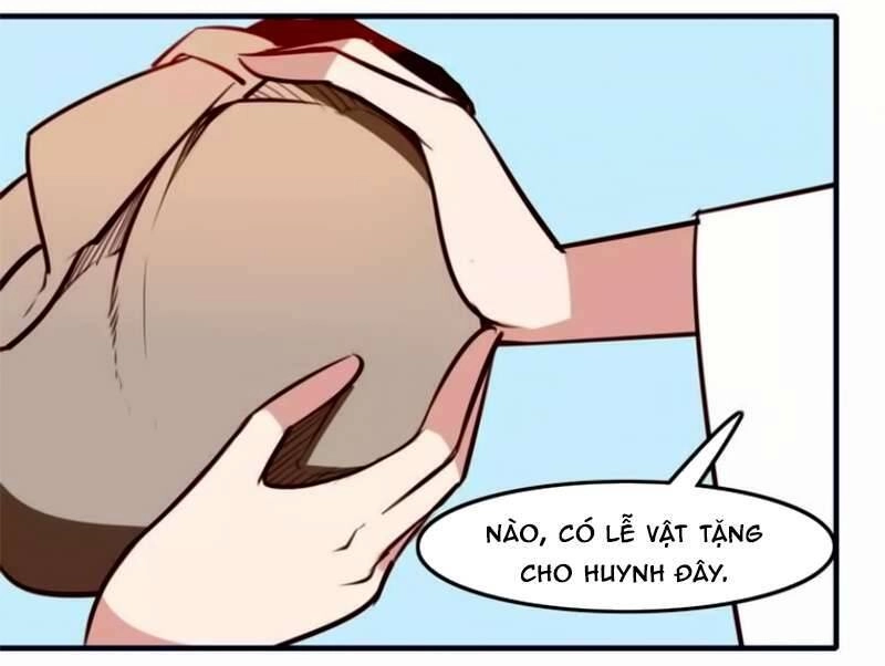 Cẩm Lý Quy Chapter 26 - 31