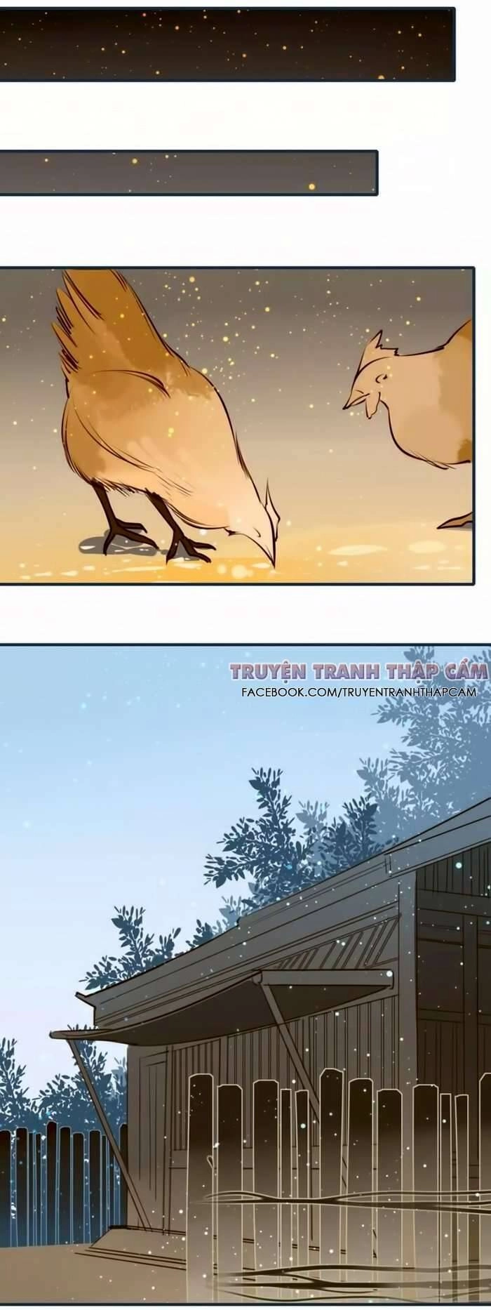 Cẩm Lý Quy Chapter 34 - 15