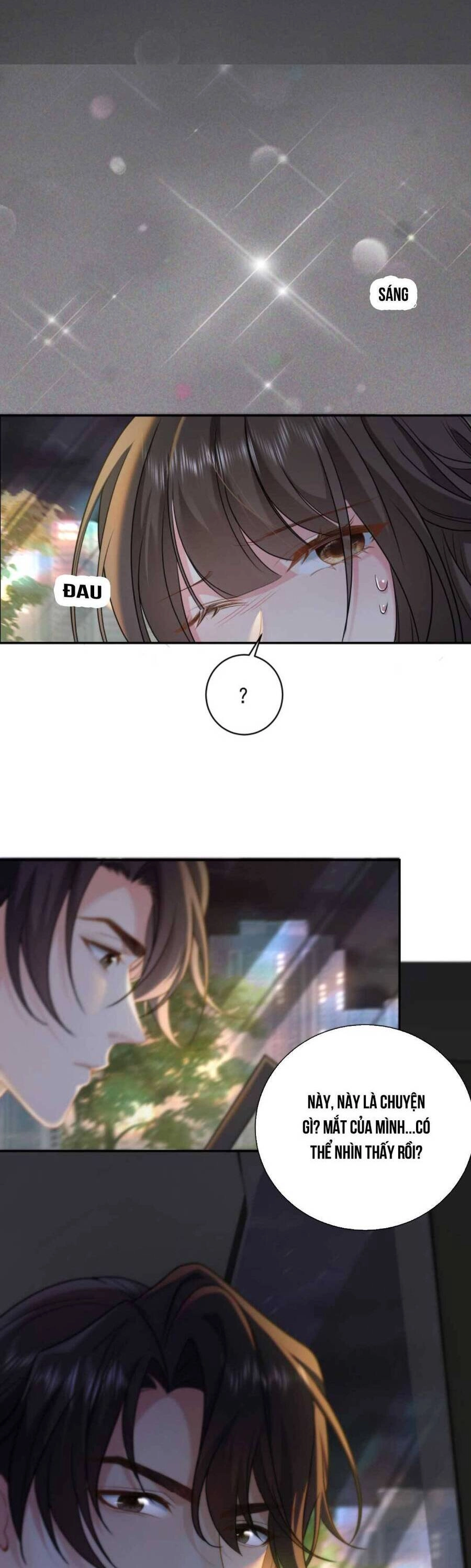 Thiên Kim Mù Phá Sản Và Tổng Tài Diêm Vương Chapter 3 - 19