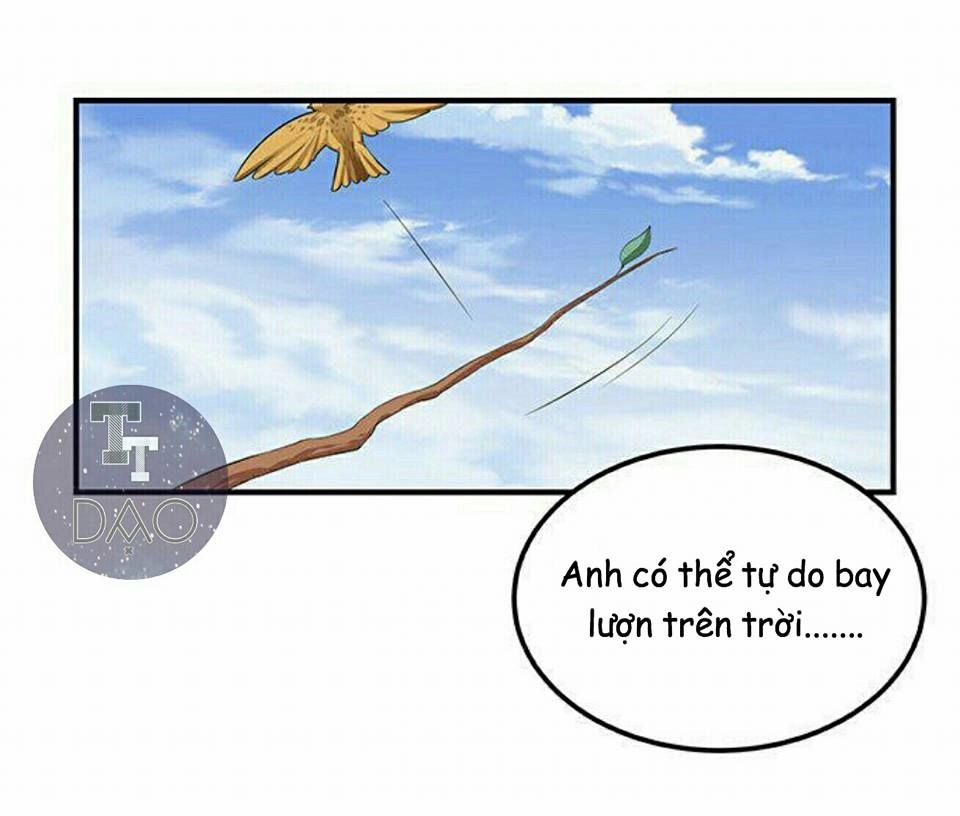 Đoạt Hôn Ác Thiếu Chapter 2 - 11