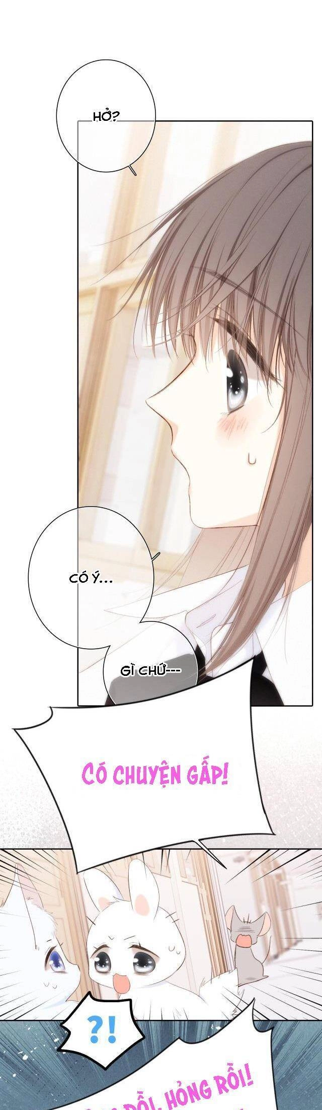 Con Tim Rung Động Chapter 167 - 38