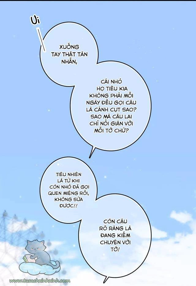 Con Tim Rung Động Chapter 62 - 12