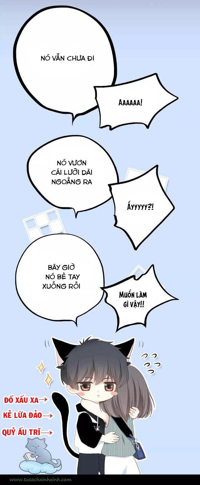 Con Tim Rung Động Chapter 65.2 - 36